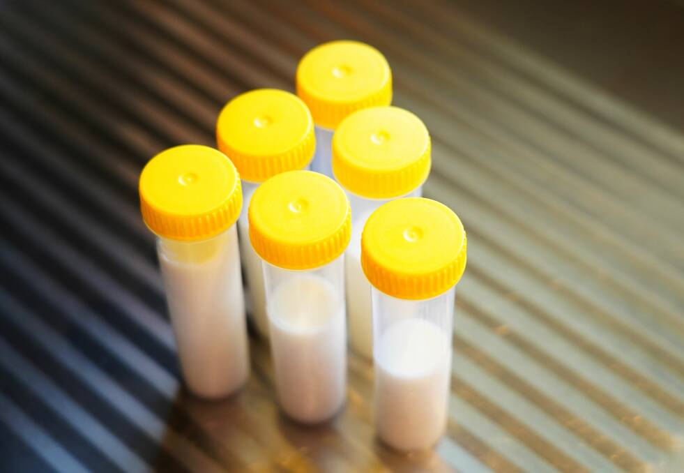 Farmers hunt for milk quality problems that may not exist