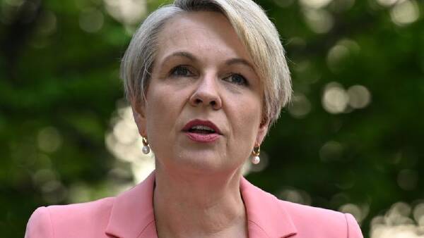 Probe launched into NT land clearing