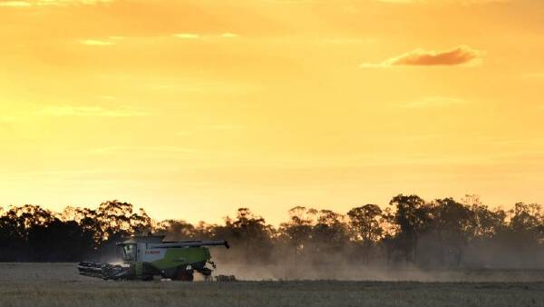 Fire chief warning for 'deadly' grassfires as areas dry out