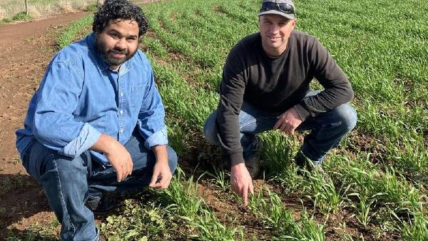 How artificial intelligence could help farmers test for carbon