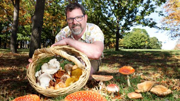 'It's bonkers': Mushrooms mushroom in Canberra's gloomy wet
