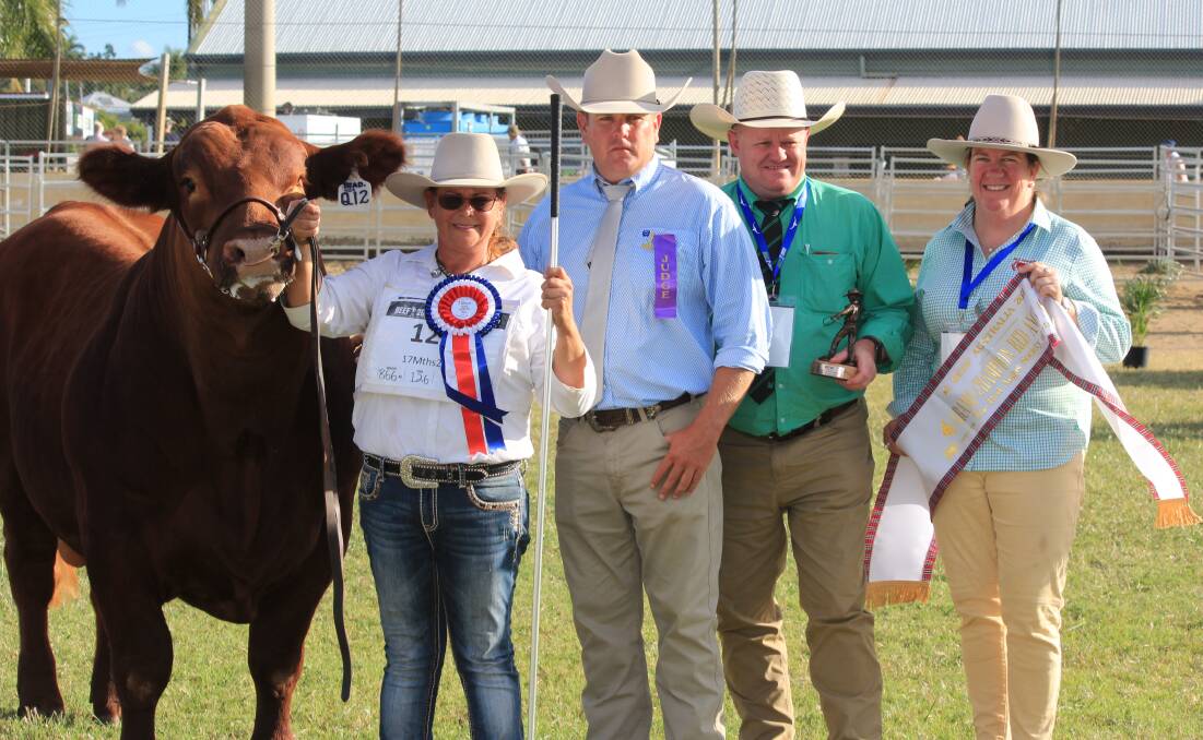 Beef 21 Grand Champion Bulls