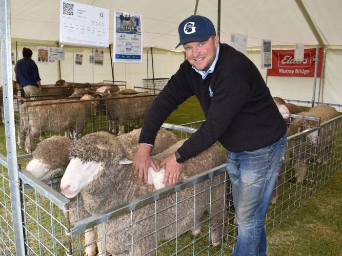 Karoonda field day attracts Merino buyers