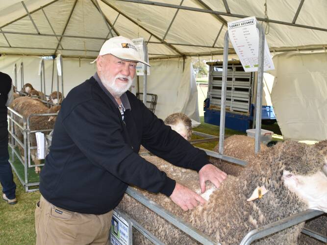 Karoonda field day attracts Merino buyers