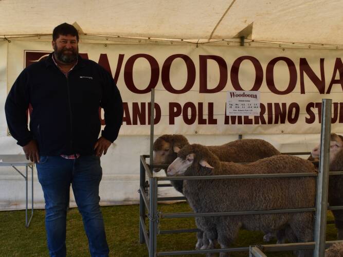 Karoonda field day attracts Merino buyers