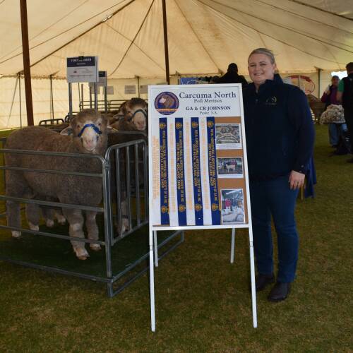 Karoonda field day attracts Merino buyers
