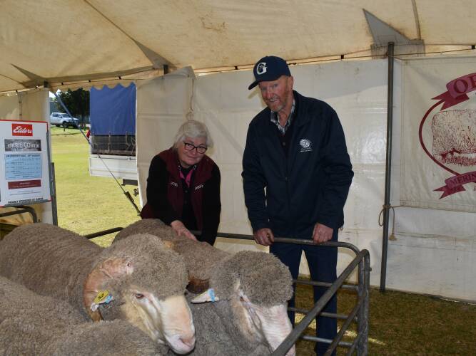 Karoonda field day attracts Merino buyers