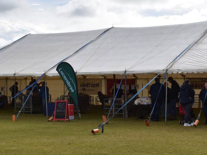 Karoonda field day attracts Merino buyers