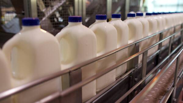 Dairy sales remain resilient