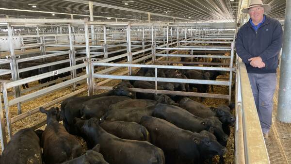 Wet weather dampens heifer supply | Prime market update