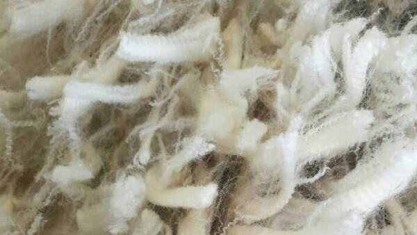 Fake wool shapes up as latest attack on livestock industry