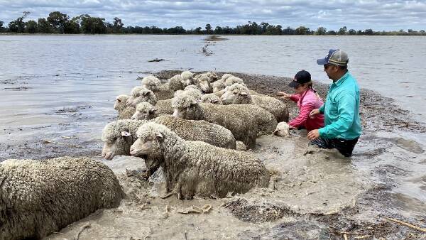Buy a Bale back to lend a helping hand
