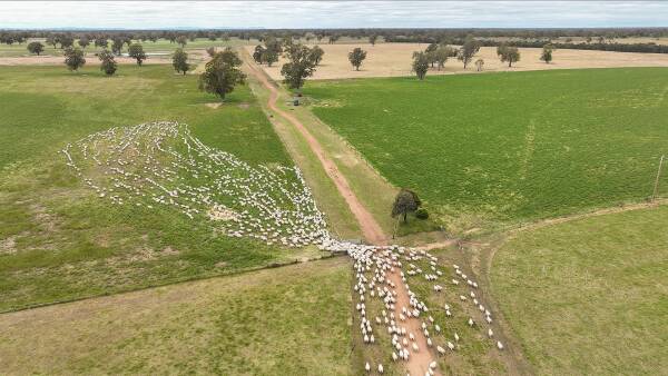 Scale in a tightly held, sought-after region