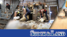 Daily Headlines Newsletter